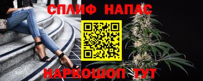 гашик Будённовск