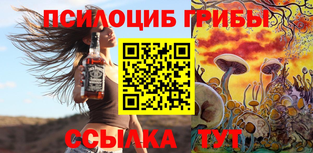 Галлюциногенные грибы MAGIC MUSHROOMS Котельники